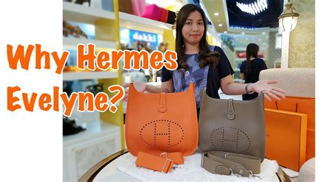 hermes evelyne gm brown|hermes evelyne birkin.